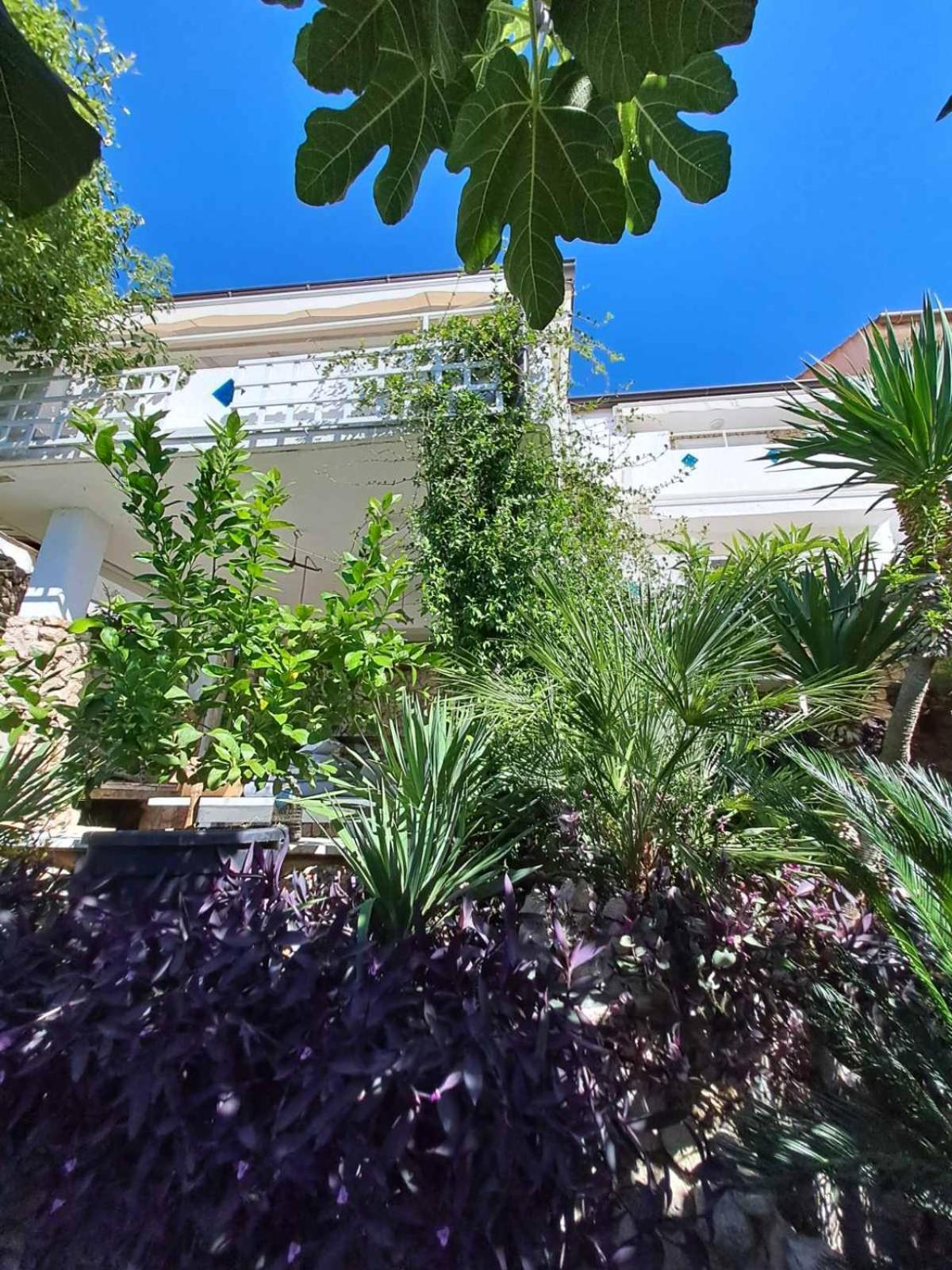 Apartment Libera1