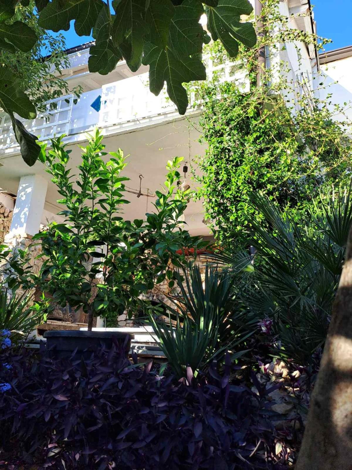Apartment Libera1 *